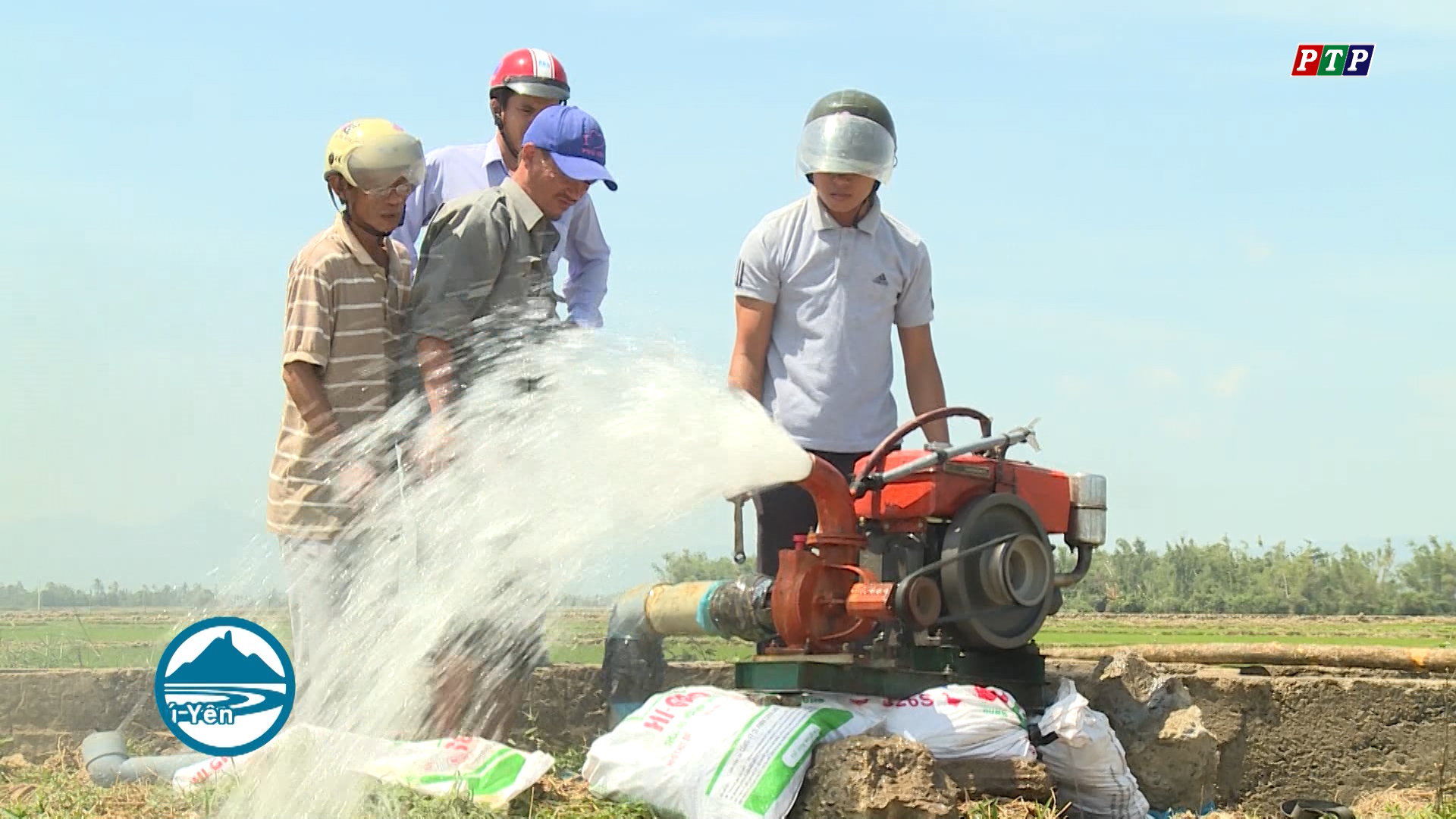 Phú Yên: Nỗ lực chống hạn cứu lúa hè thu