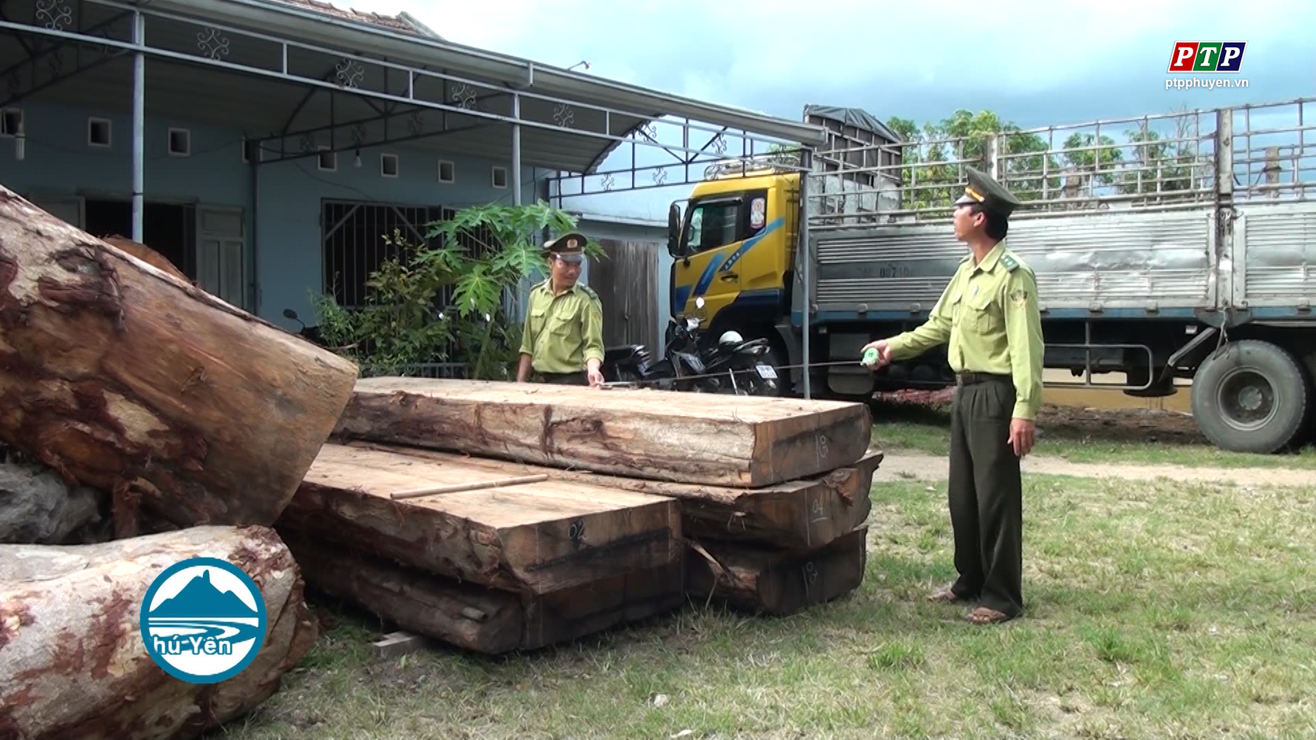 Sông Hinh: Tạm giữ xe tải chở gỗ không rõ nguồn gốc