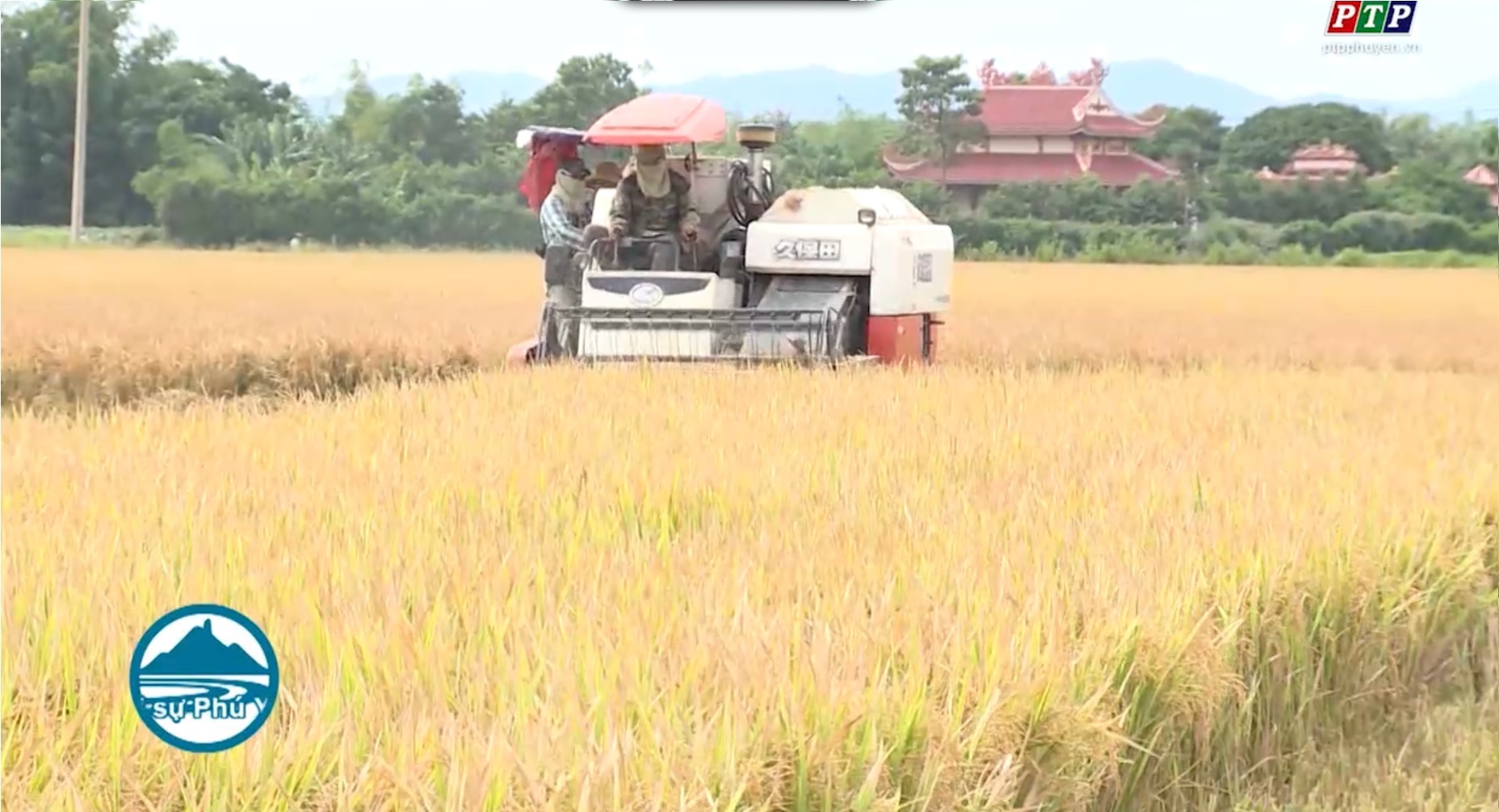 Nông nghiệp nông thôn Phú Yên: chuyển biến từ chính sách tam nông