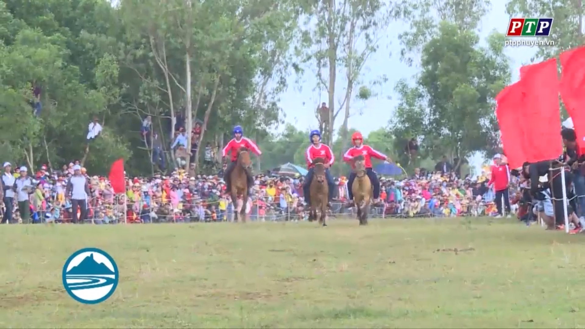 Tưng bừng hội đua ngựa truyền thống Gò Thì Thùng Xuân Kỷ Hợi 2019