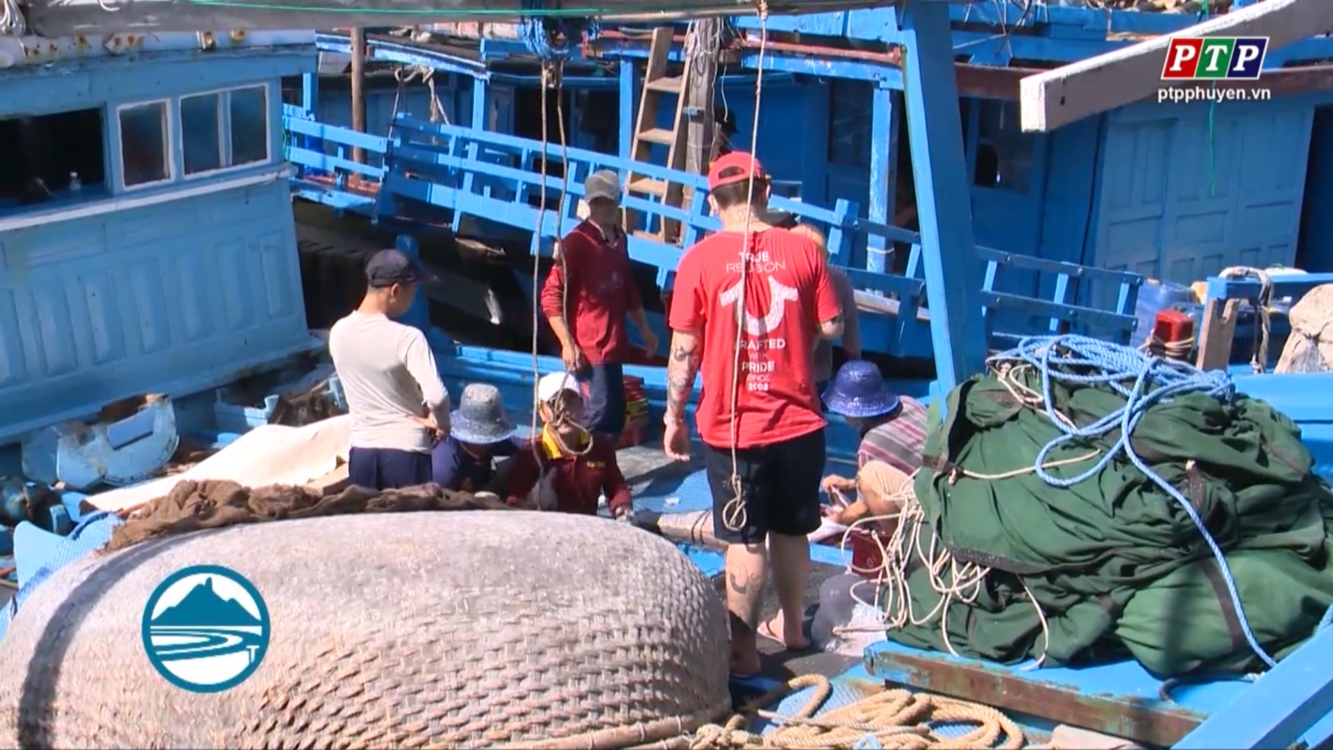 Phú Yên tích cực khắc phục khai thác hải sản bất hợp pháp trên biển