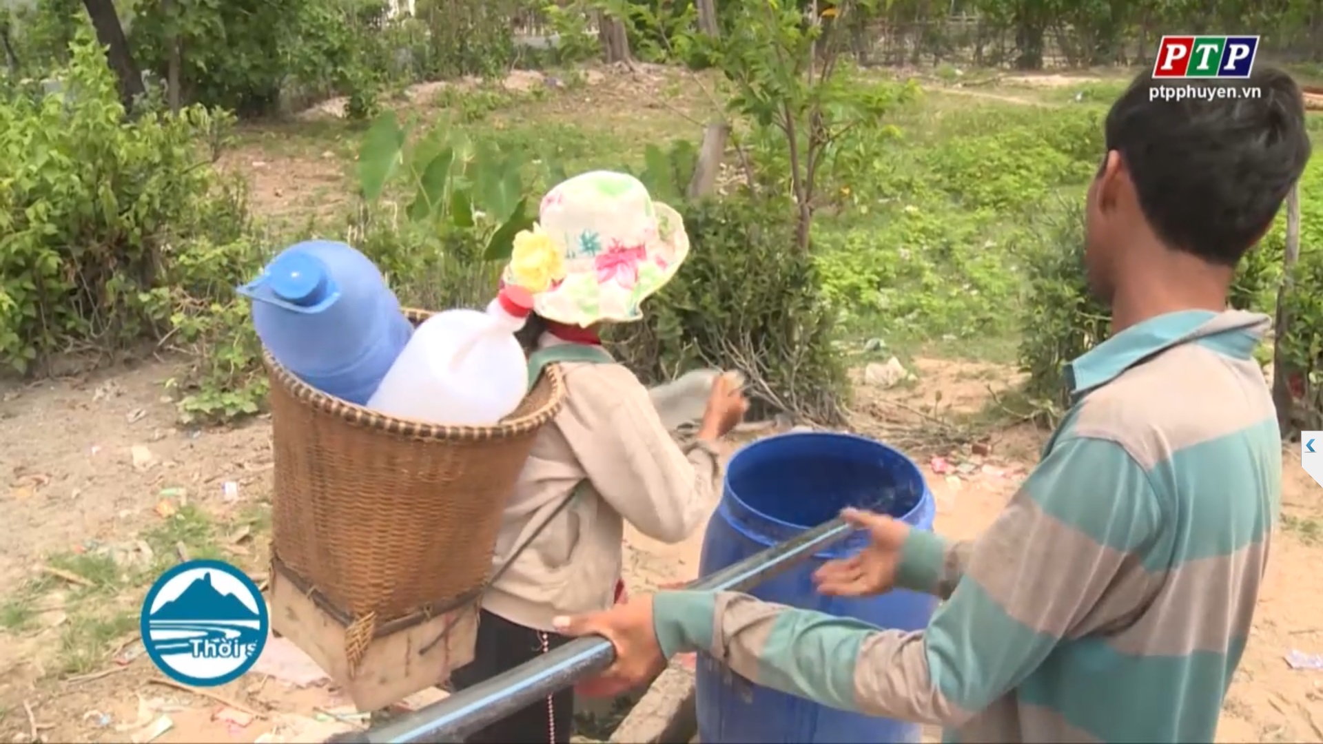 Phú Yên: Cảnh báo khô hạn trên diện rộng