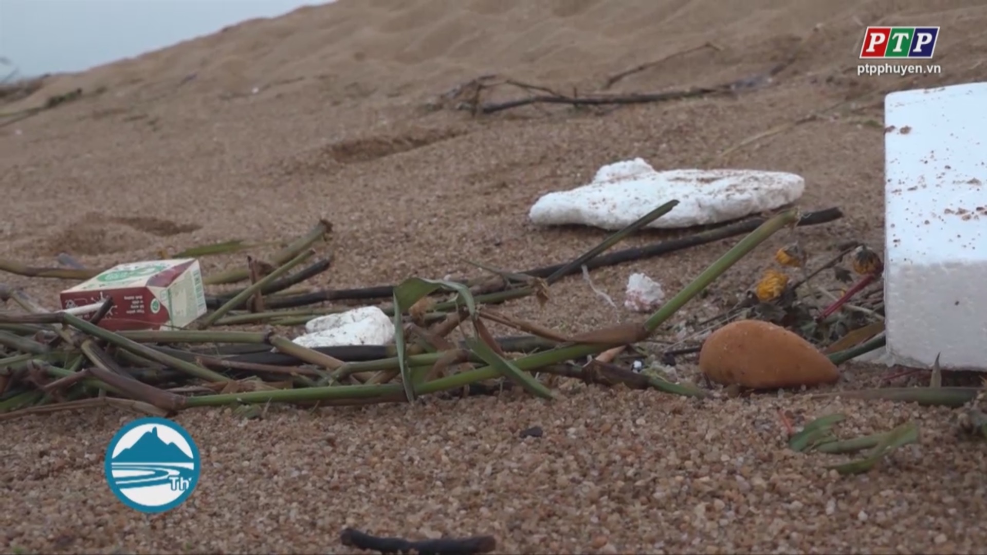Ô nhiễm rác thải nhựa ven biển