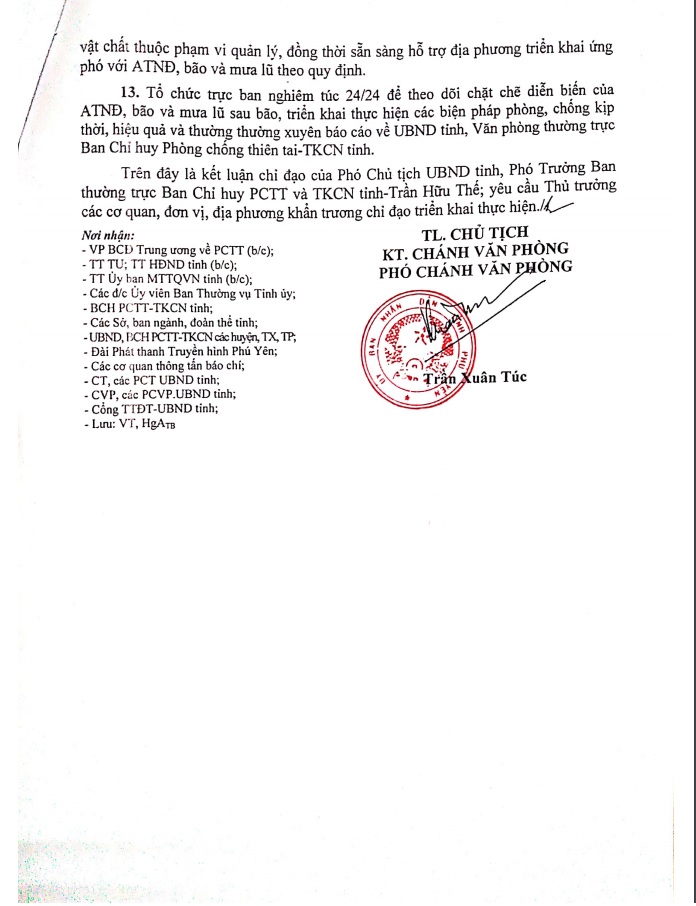 Thông báo kết luận của Phó CT. UBND tỉnh, Phó Trưởng ban thường trực Ban Chỉ huy PCTT & TKCN tỉnh Trần Hữu Thế tại cuộc họp về triển khai nhiệm vụ công tác phòng, chống lụt bão (cơn bão số 5) năm 2019