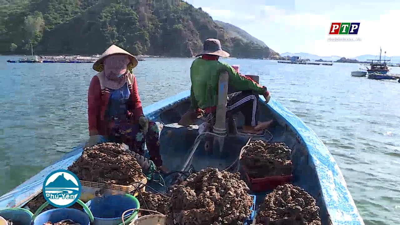 DUY TRÌ VÙNG NUÔI THỦY SẢN AN TOÀN TRƯỚC DỊCH BỆNH