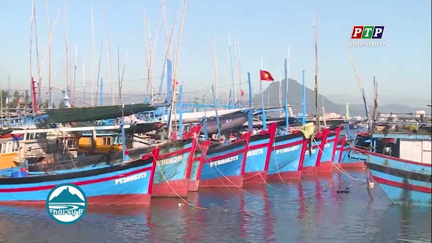 Tăng cường kiểm soát, ngăn chặn tàu cá Phú Yên vi phạm IUU