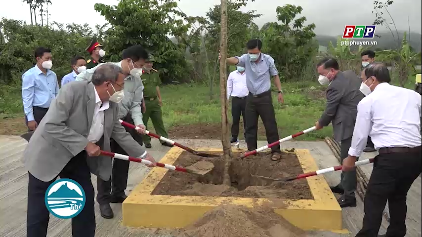 TX Đông Hòa: Phát dộng 