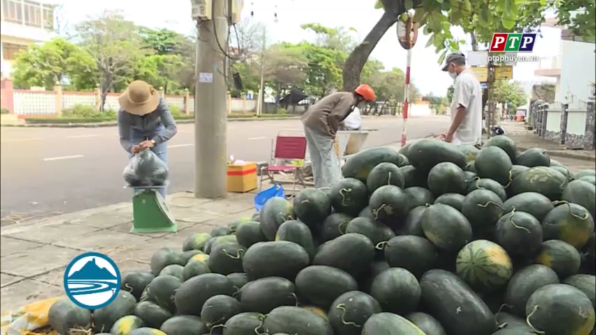 Hỗ trợ người dân Phú Hòa tiêu thụ dưa hấu