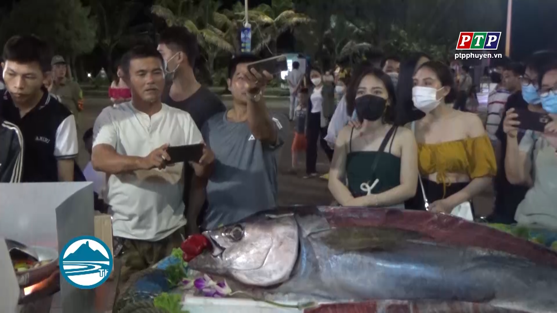 Trình diễn cá ngừ đại dương tại phố đi bộ Phan Lưu Thanh, TP Tuy Hòa