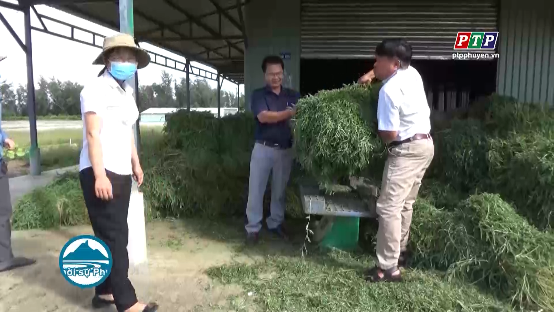 Phú Yên: Nhiều tiềm năng phát triển du lịch nông nghiệp, nông thôn