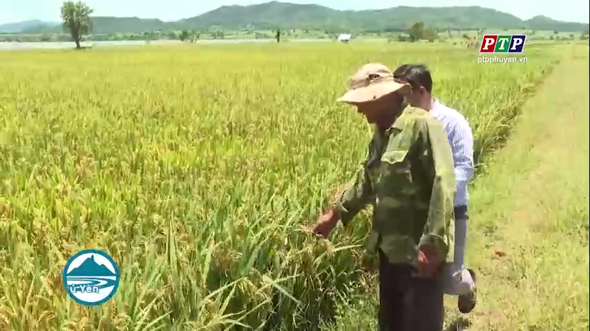 Nâng cao hiệu quả công tác dân vận, đáp ứng yêu cầu nhiệm vụ trong tình hình mới