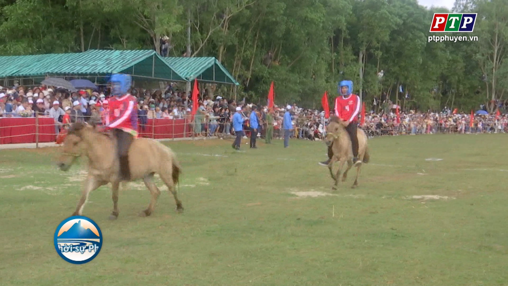 Tưng bừng Hội đua ngựa truyền thống Gò Thì Thùng