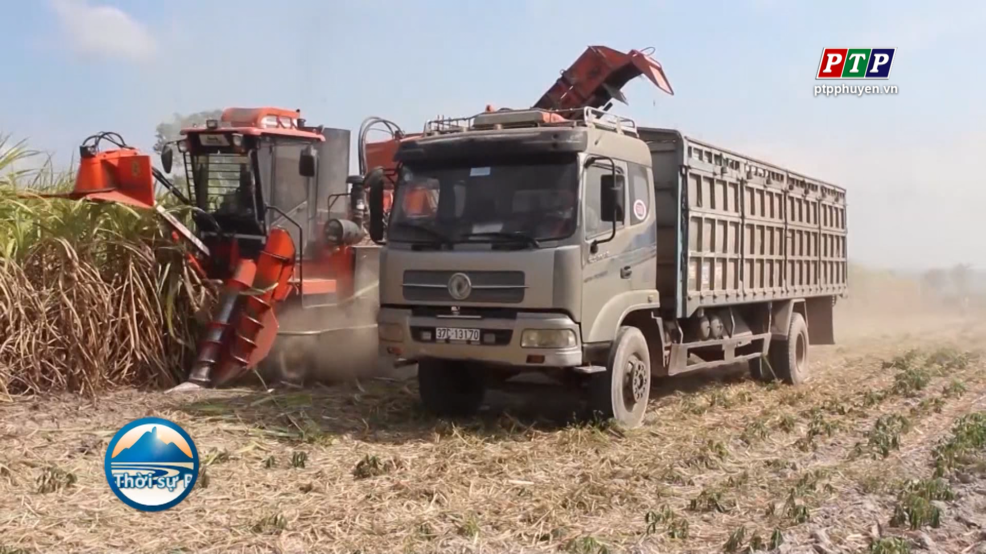 Nông nghiệp trở thành “trụ đỡ” của nền kinh tế Phú Yên