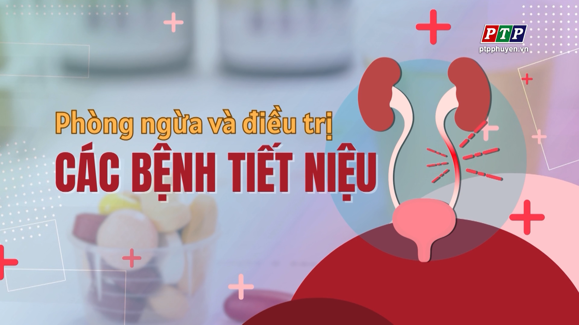 Phòng ngừa và điều trị bệnh tiết niệu