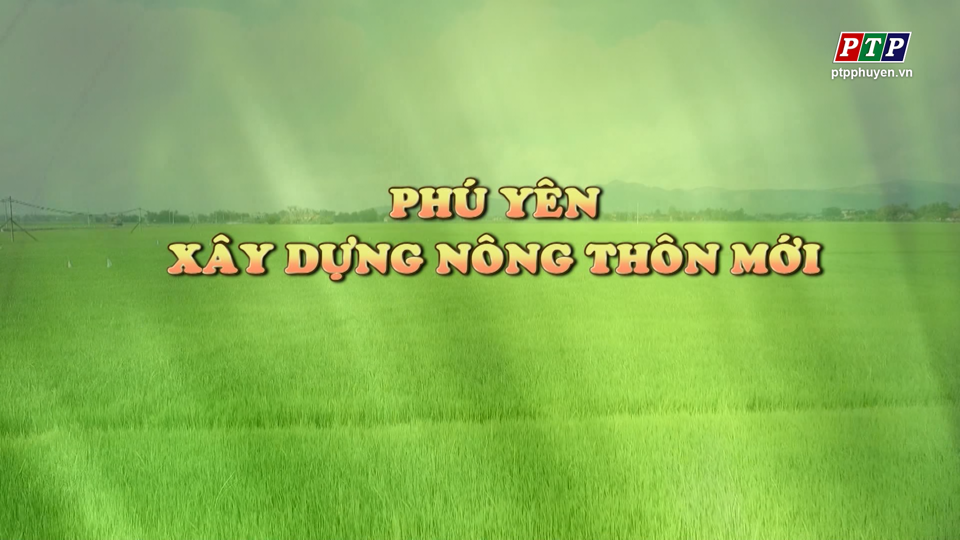 Dấu ấn khởi sắc trong NTM